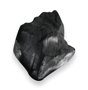 coal 4