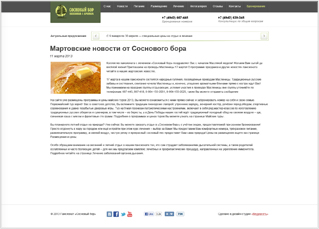 Сайт панионата с лечением «Сосновый бор» | Дизайн-студия «Медиасеть»